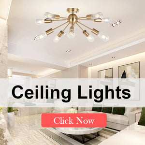 #Ceiling Lights